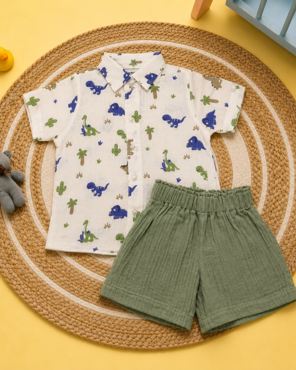 Boys shorts set